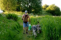 /album/saarloos-wolfdog-norway/a10463962-252770654915988-263861799735555630-n-jpg/